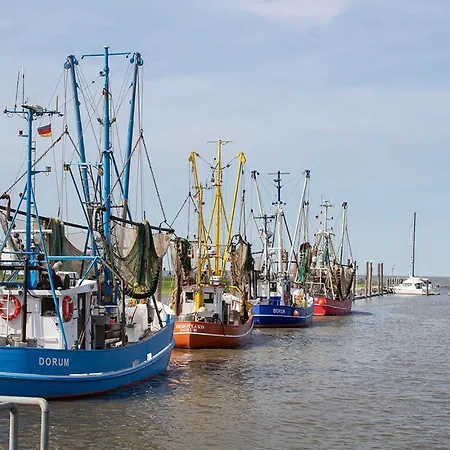 Moby Dick Mellumplate 44