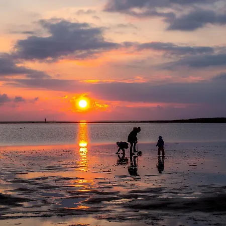 Ferienhaus Moby Dick Mellumplate 44