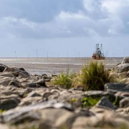 Ferienhaus Moby Dick Mellumplate 44 *